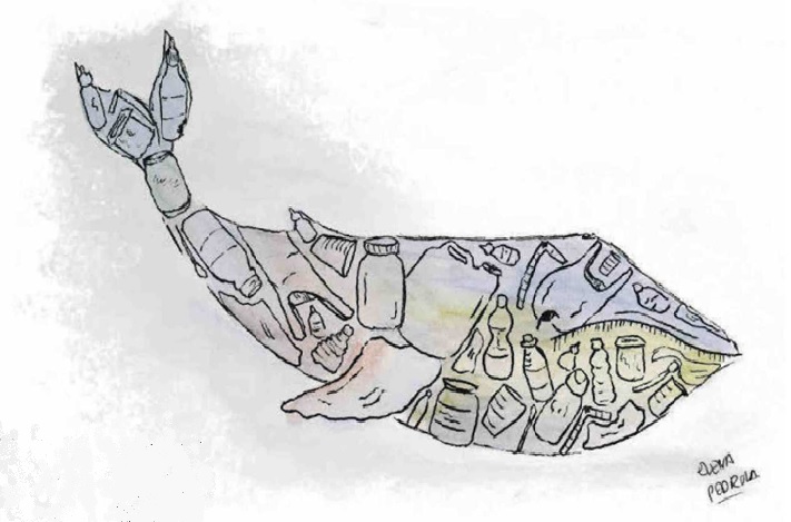 dibujo del interior de una ballena con basura y plástico