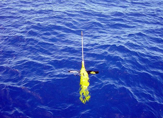 mini submarino autónomo en el mar